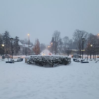 interruptingnow's profile picture. 