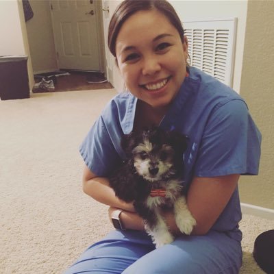 meganebernstein's profile picture. California girl, global citizen, shameless foodie, future MD. 
"Be kind whenever possible. It is always possible."