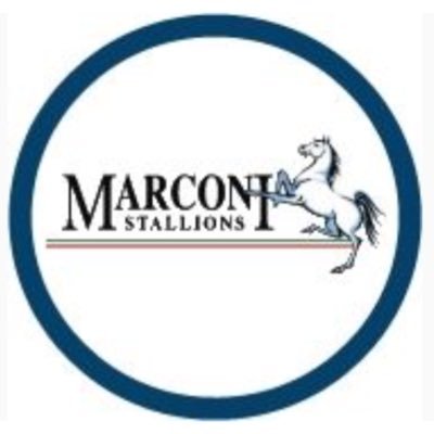Marconi Stallions Football Club’s official Twitter account. Follow one of Australia’s biggest clubs for news, results & behind the scenes updates. Est 1958 ⚽️🐎