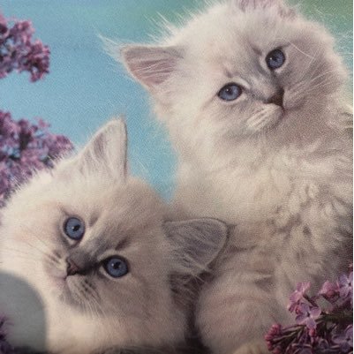 masao360104's profile picture. 