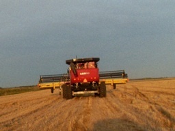 davidhopfner's profile picture. 