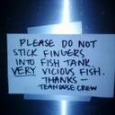 Mason Bryant - @Ladygaga4eva135 - Twitter