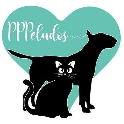 Asociación protectora de Animales PPPeludos, en lucha contra el abandono y maltrato animal. 💪🏻
⬇️⬇️🐾TU EURO SALVA VIDAS, HAZTE TEAMING🐾⬇️⬇️