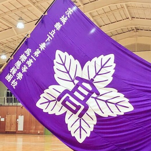 ShimokoIoh's profile picture. https://t.co/Jf8dj9UmcK