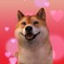 天帝わんちゃん(格闘ゲーム激うま天帝バーチャルユーチューバー犬) (@gekiuma_dog) Twitter profile photo 天帝わんちゃん(格闘ゲーム激うま天帝バーチャルユーチューバー犬) (@gekiuma_dog) Twitter profile photo