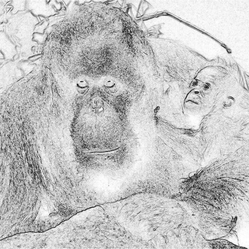 Orangutans are some of my favorite people. I'd like to connect to animal lovers, artists\fine arts\all kinds, and author and illustrators.