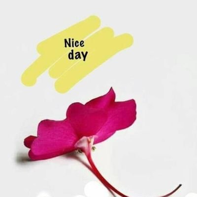 pritikulk's profile picture. Nature and Animal Lover,Bibilophile, Loves Mumbai to the core, Researcher by profession.