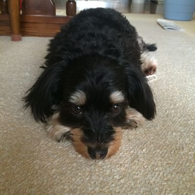 bjm_y9's profile picture. 2025.2👶基本見るだけ。無言フォロー失礼します