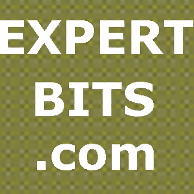 expertbits's profile image