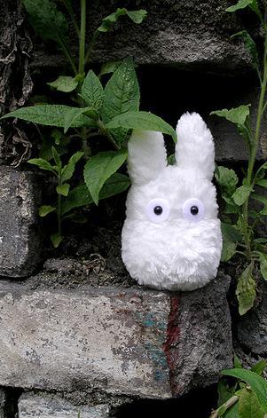 popularculturep's profile picture. a wan-a-bee walrus. getting there one-flop at-a-time.