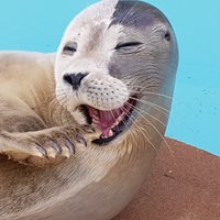 Skegness Natureland (@naturelandskeg) 's Twitter Profile