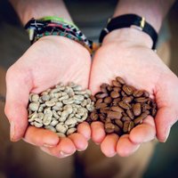 Monsoon Estates Coffee (@monsoonestates) 's Twitter Profile Photo Monsoon Estates Coffee (@monsoonestates) 's Twitter Profile Photo