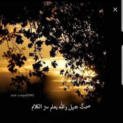 رغم الضجيج الذي يحاصرني إلا أني أستمع إلى حديث آخر يعجز عن استيعابه الكثير