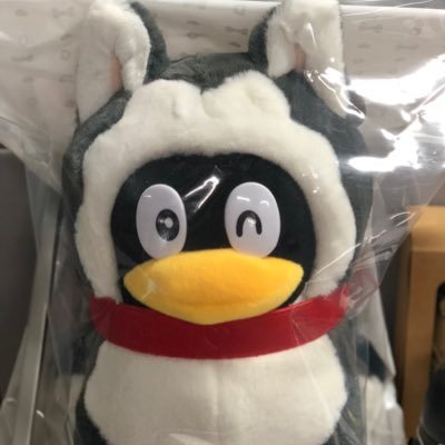 tianyatao's profile picture. 