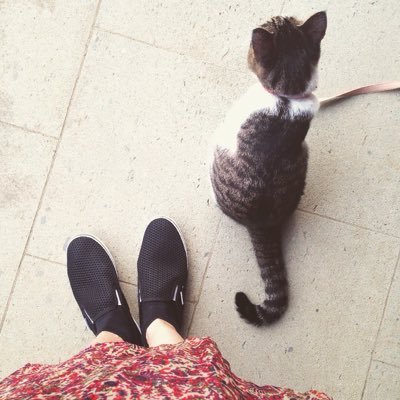 sayuri2k's profile picture. 