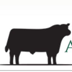 IEAberdeenAngus's profile picture. Ireland's biggest beef breed.