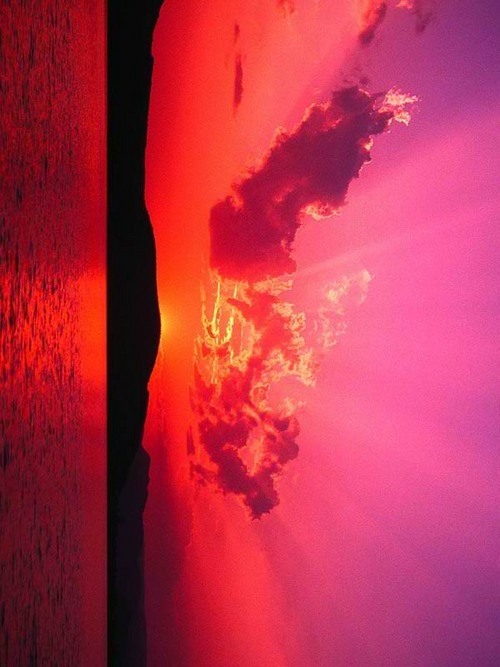 sweatyetty's profile picture. 