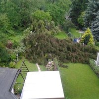 Klaus Thöne (@klausthone) Twitter profile photo