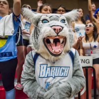 Baruch College Athletics(@BaruchAthletics) 's Twitter Profile Photo