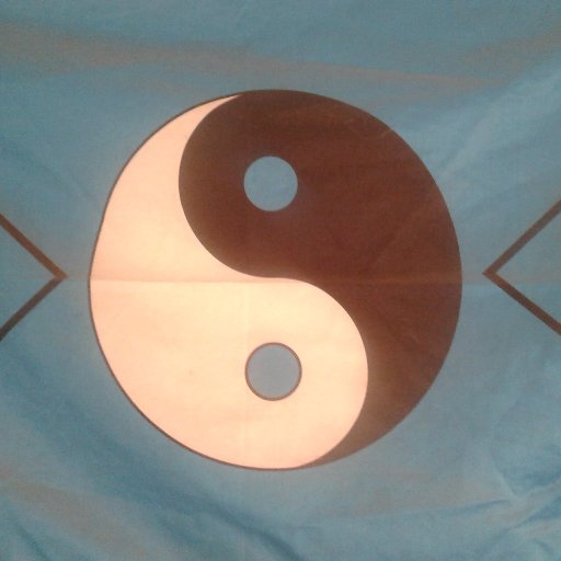 I am the president of the Quantum Philosophical Institute, our mission statement is Obtain World Peace by Becoming More Fully Humane.