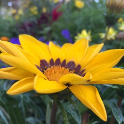 KatlRiggz1's profile picture. 