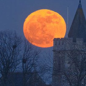 goodbyemoon's profile picture. Trying to survive the madness that surrounds us.