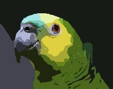 Kawartha Parrot Resort is a service for discerning companion parrot owners.