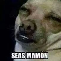 mariorubio5691's profile picture. Soy básicamente un reciclador de vidas...