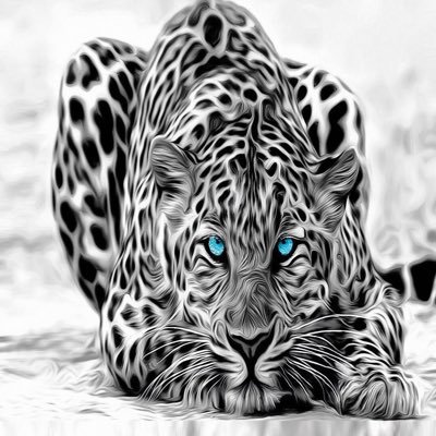 a51643516a's profile picture. #أصباغ #ورق-جُدران #مناظر طباعه 3D#استيكر #ستايررول #بركيه/كل ما هو جديد لدينا. 50501916#