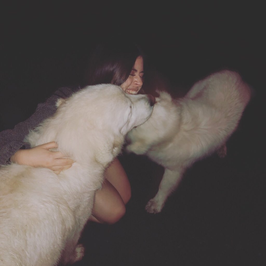 Jessiro5's profile picture. 