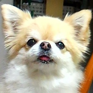唯純　楽さんのプロフィール画像