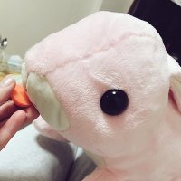 あいか ✲*ﾟふりむん (@furimun_mun) Twitter profile photo