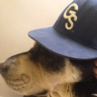 GS EagleMan (@gseagleman) 's Twitter Profile Photo