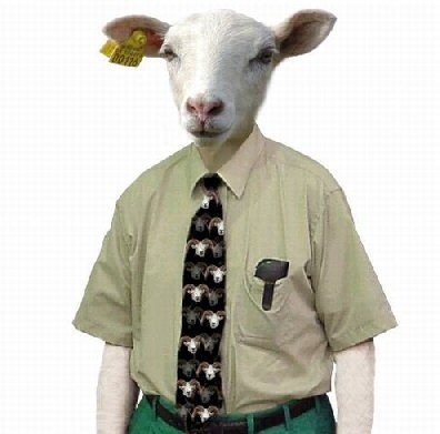 ser_romero's profile picture. 