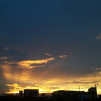 mamsh_01's profile picture. 