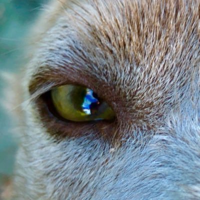 DevinGeoff's profile picture. 