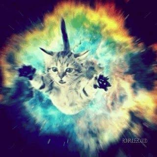 Cazalinda13's profile picture. S/o martin pulickal
അതിന്റെ ഗുണവും കാണിക്കും !