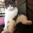 HwangChanhee's profile image