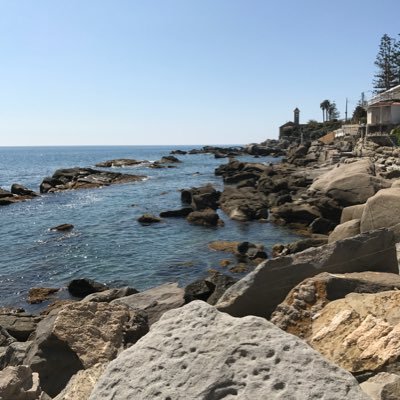 Manuolivo79's profile picture. 🔴⚫️😇😇🐝🐝