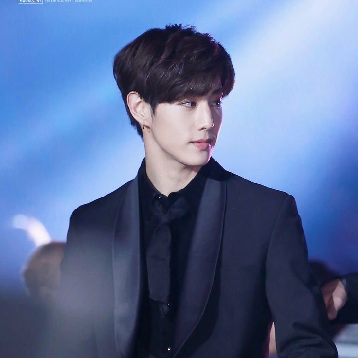 sagalahexc's profile picture. (Sillain) #FAVORISM - Sagala Adagio Hexcel, Mark Tuan copypaste - A lecturer; and a spy. xx W.