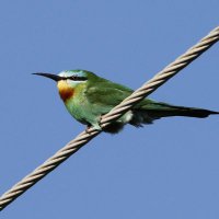 GDH56 (@gdh56) 's Twitter Profile