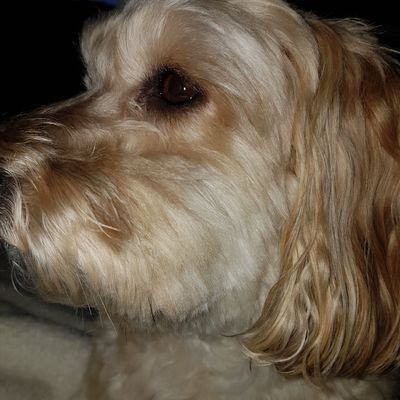 Sheryl08577579's profile picture. News Entertainment Local News Newfoundland News Alberta News Movies Canada News