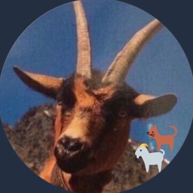 Hannover_ETI's profile picture. Old, not wise, boostered! Mourning for @_king__louis and @Sina_die_Holde 🌈 #noAfD #H96 #BLM Proud room (and Garden) mate of Dicker and Mäuschen. 🐈‍⬛🐈 🇺🇦