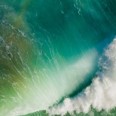 blockchain688's profile picture. 