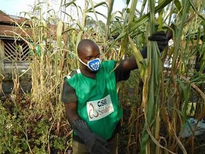 Nehemie2016's profile picture. 