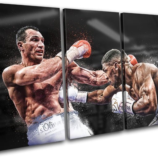 The Art of Boxing