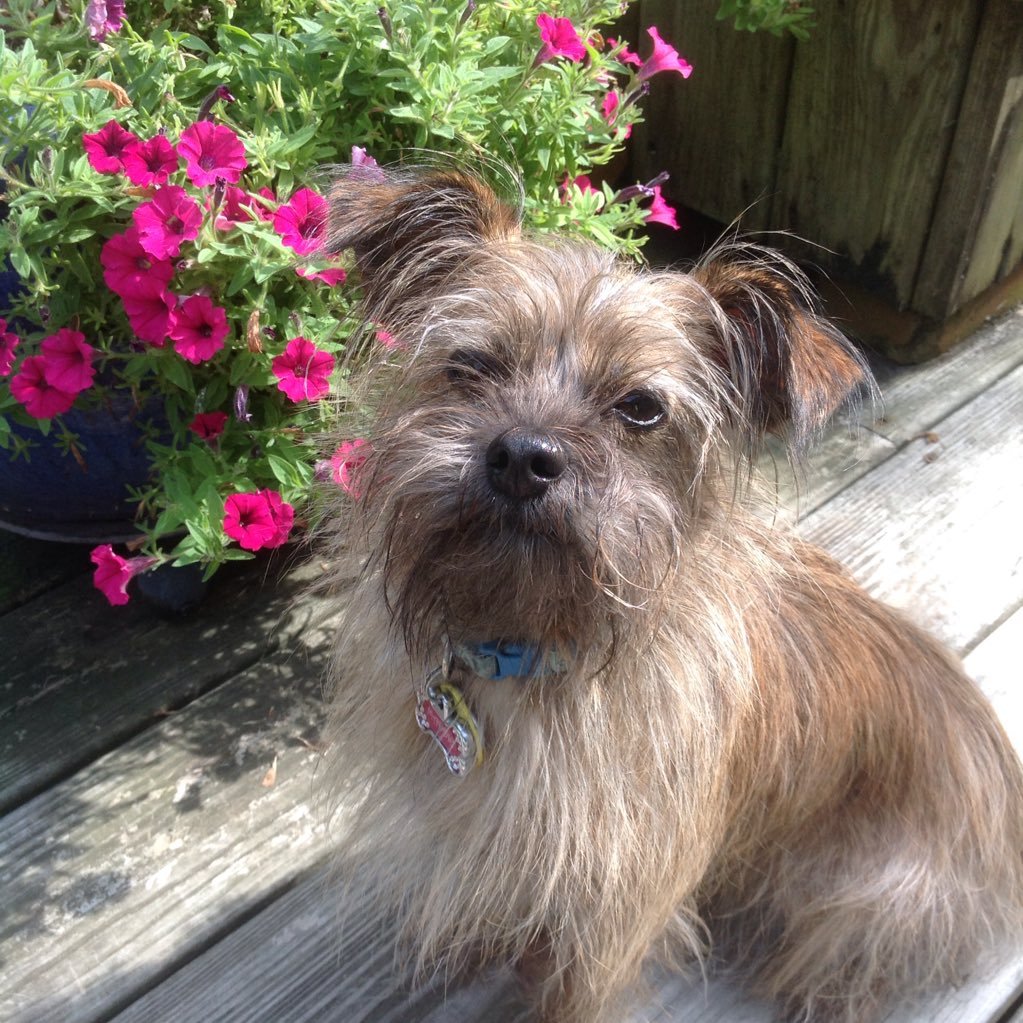 ldhart712's profile picture. 