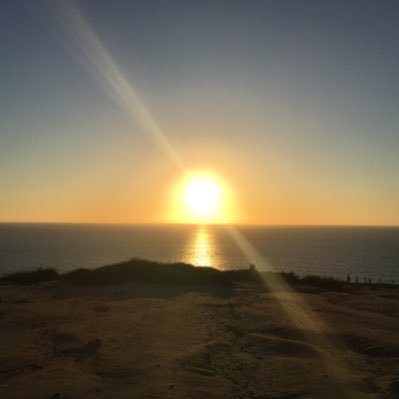 skywalker184's profile picture. Software Engineer @ 某米Tech企業