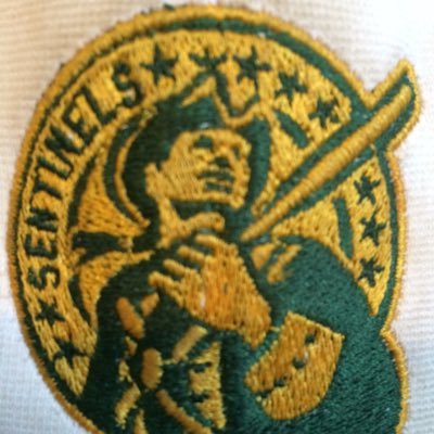 Smithfield Sentinels Baseball Program ⚾️💚💛