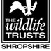 BridgnorthBranch ShropshireWildlifeTrust (@bridgnorthswt) Twitter profile photo BridgnorthBranch ShropshireWildlifeTrust (@bridgnorthswt) Twitter profile photo